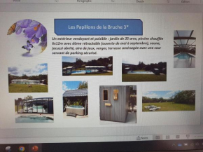 Les Papillons